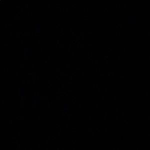 Meet your Posher, Dhalia